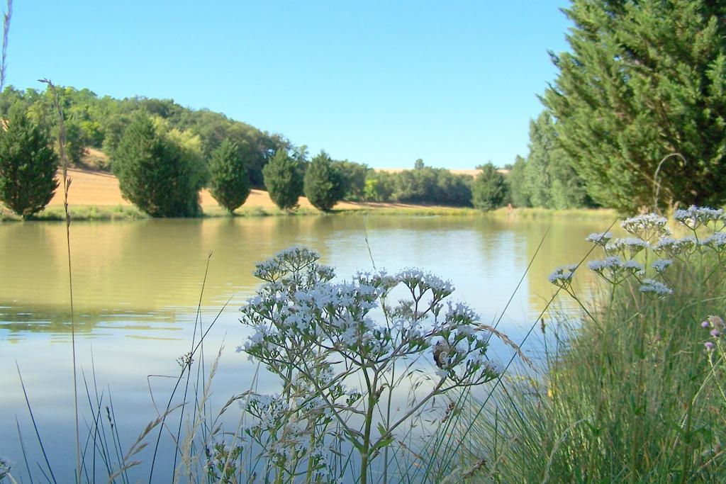 Chambre D'Hotes Le Moulin D'Encor Seysses-Saves Екстериор снимка